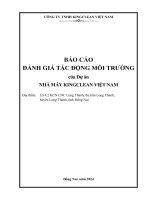 BÁO CÁO ĐÁNH GIÁ TÁC ĐỘNG MÔI TRƯỜNG của Dự án NHÀ MÁY KINGCLEAN VIỆT NAM