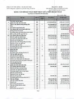 Bctc công ty cổ phần viễn thông   tin học bưu điện 1669833476