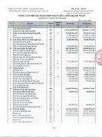 Bctc công ty cổ phần viễn thông   tin học bưu điện 1666031008