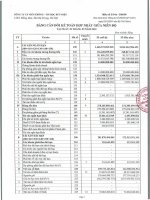 Bctc công ty cổ phần viễn thông   tin học bưu điện 1605043967