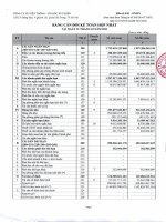 Bctc công ty cổ phần viễn thông   tin học bưu điện 1620782852