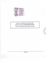 Bctc công ty cổ phần tập đoàn hipt 1596745832