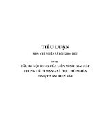 Tiểu luận Chủ nghĩa xã hội khoa học - Nội dung của liên minh giai cấp trong cách mạng xã hội chủ nghĩa ở Việt Nam hiện nay