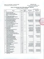 Bctc công ty cổ phần viễn thông   tin học bưu điện 1707245163