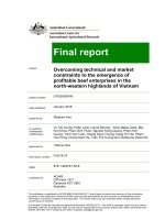 FINAL REPORT PROJECT OVERCOMING TECHNICAL AND MARKET CONSTRAINTS TO THE EMERGENCE OF PROFITABLE BEEF ENTERPRISES IN THE NORTH-WESTERN HIGHLANDS OF VIETNAM PROJECT NUMBER LPS2008049