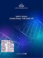 Bctc công ty cổ phần tập đoàn công nghệ cmc 1597998609