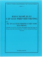 Báo cáo đề xuất cấp GPMT Dự án LG Electronics Việt Nam Hải Phòng