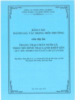 Báo cáo đánh giá tác động môi trường của Dự án “Trang trại chăn nuôi gà theo mô hình trại lạnh khép kín” quy mô 350.000 con gàlứa (05 lứanăm)