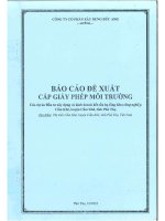 Báo cáo đề xuất cấp giấy phép môi trường của dự án “Đầu tư xây dựng và kinh doanh kết cấu hạ tầng Khu công nghiệp Cẩm Khê, huyện Cẩm Khê, tỉnh Phú Thọ”