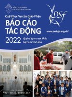 BÁO CÁO TÁC ĐỘNG CỦA QUỸ PHỤC VỤ CỦA GIÁO PHẬN NĂM 2022