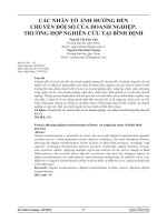 CÁC NHÂN TỐ ẢNH HƯỞNG ĐẾN CHUYỂN ĐỔI SỐ CỦA DOANH NGHIỆP: TRƯỜNG HỢP NGHIÊN CỨU TẠI BÌ NH ĐỊNH