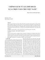 CHÍNH SÁCH TỶ GIÁ HỐI ĐOÁI: LỰA CHỌN NÀO CHO VIỆT NAM?