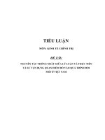 Tiểu luận cao học môn ktct   nguyên tắc thống nhất giữa lý luận và thực tiễn và sự vận dụng quan điểm đó vào quá trình đổi mới ở việt nam