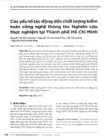 CÁC YẾU TỐ TÁC ĐỘNG ĐẾN CHẤT LƯỢNG KIỂM TOÁN CÔNG NGHỆ THÔNG TIN: NGHIÊN CỨU THỰC NGHIỆM TẠI THÀNH PHỐ HỒ CHÍ MINH