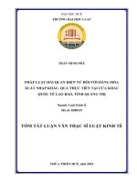 Pháp luật hải quan điện tử đối với hàng hóa xuất nhập khẩu, qua thực tiễn tại cửa khẩu quốc tế