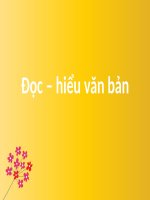 ôn thi Đọc   hiểu văn bản