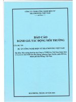 Báo cáo đtm dự án công nghệ điện tử heatmoving việt nam