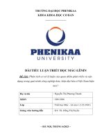 Phân tích cơ sở lý luận của quan điểm phát triển và vận dụng trong quá trình công nghiệp hóa, hiện đại hóa ở Việt Nam hiện nay 