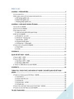 Tiểu luận cao học môn chính trị học - Quan hệ Việt nam – Asean