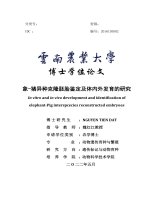 In vitro and in vivo development and identification of elephant pig interspcecies reconstructed embryoes