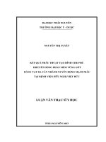 Kết quả phẫu thuật tạo hình che phủ khuyết hổng phần mềm vùng gót bằng vạt da cân nhánh xuyên động mạch mác tại bệnh viện hữu nghị việt đức