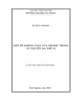 Một số không gian tựa metric trong lý thuyết đa thế vị