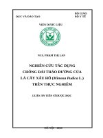 Nghiên cứu tác dụng chống đái tháo đường của lá cây Xấu hổ (Mimosa pudica L.) trên thực nghiệm