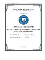 Báo cáo thực hành chiến lược phát triển nguồn nhân lực công ty cổ phần misa