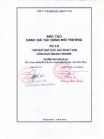 BÁO CÁO ĐTM DỰ ÁN: “NHÀ MÁY SẢN XUẤT GIẤY CỦA CÔNG TY TNHH GIẤY KRAFT VINA CÔNG SUẤT 800.000 TẤNNĂM” TẠI KHU CÔNG NGHIỆP BÌNH XUYÊN, HUYỆN BÌNH XUYÊN TỈNH VĨNH PHÚC