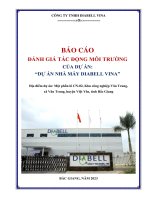 BÁO CÁO ĐÁNH GIÁ TÁC ĐỘNG MÔI TRƯỜNG CỦA DỰ ÁN: “DỰ ÁN NHÀ MÁY DIABELL VINA”
