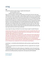 Dàn bài Sóng  Xuân Quỳnh