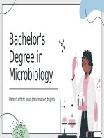 Bachelors degree in microbiology