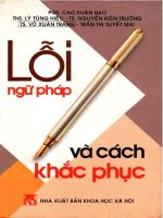 Lỗi ngữ pháp và cách khắc phục  Cao Xuân Hạo