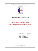 Báo cáo chuyên đề thực tập phát triển thương hiệu tại công ty cổ phần lê dư group