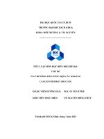 Tái chế kính thải tổng hợp các khoáng calcium hydrat silicate