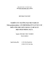 Nghiên cứu ngưỡng mật độ vi khuẩn vibrio paragaenolyticus gây bệnh hoại tử gan tụy cấp trên tôm thẻ chân trắng và đề xuất biện pháp phòng ngừa