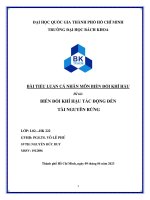 Tác động biến đổi khí hậu đến tài nguyên rừng