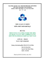 Tiềm năng của công nghệ thu hồi, sử dụng và lưu trữ carbon (ccus) đối với ngành dầu khí tại việt nam