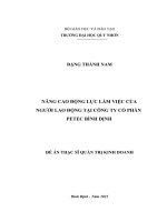 Nâng cao động lực làm việc của người lao động tại công ty cổ phần petec bình định