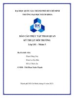 Báo cáo thực tập tham quan môn kỹ thuật môi trường tại trạm xử lý nước thải kcn long thành