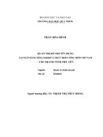 Quản trị rủi ro tín dụng tại ngân hàng nông nghiệp và phát triển nông thôn việt nam   chi nhánh tỉnh phú yên