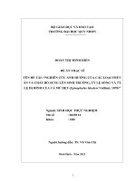 Nghiên cứu ảnh hưởng của các loại thức ăn và chất bổ sung lên sinh trưởng, tỷ lệ sinh trưởng, tỷ lệ sống và tỷ lệ dị hình của cá mú dẹt
