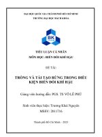 Tiểu luận trồng và tái tạo rừng trong điều kiện biến đổi khí hậu