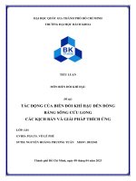 Tác động của biến đổi khí hậu đến vùng đồng bằng sông cửu long   các kịch bản và giải pháp thích ứng