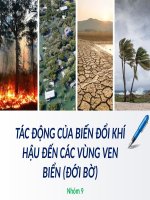 Tác động của biến đổi khí hậu đến các vùng ven biển (đới bờ)