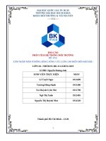 Xâm nhập mặn ở đồng bằng sông cửu long do biến đổi khí hậu