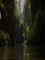 Pdca   iso9001 iso14001 iso45001