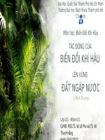 Tác động của biến đổi khí hậu lên vùng đất ngập mặn u minh thượng