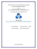 Báo cáo đánh giá tác động môi trường cho dự án cụm công nghiệp bình đông