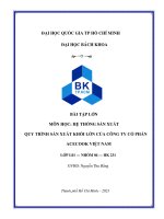 Quy trình sản xuất khối lớn của công ty cổ  phần acecook việt nam